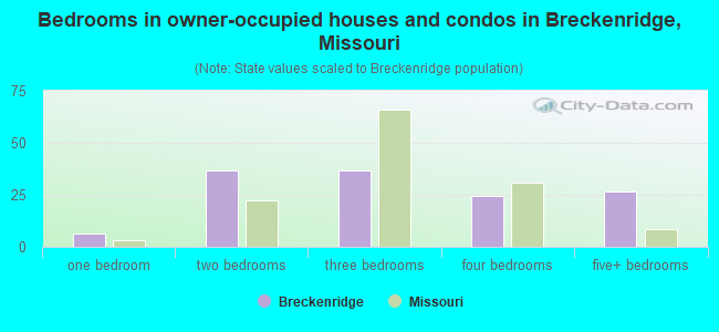 Bedrooms in owner-occupied houses and condos in Breckenridge, Missouri