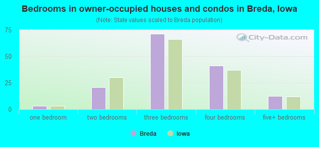 Bedrooms in owner-occupied houses and condos in Breda, Iowa