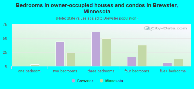 Bedrooms in owner-occupied houses and condos in Brewster, Minnesota