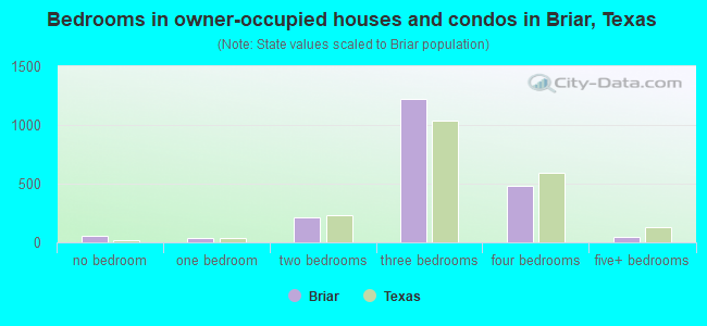 Bedrooms in owner-occupied houses and condos in Briar, Texas