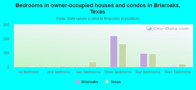 Bedrooms in owner-occupied houses and condos in Briaroaks, Texas