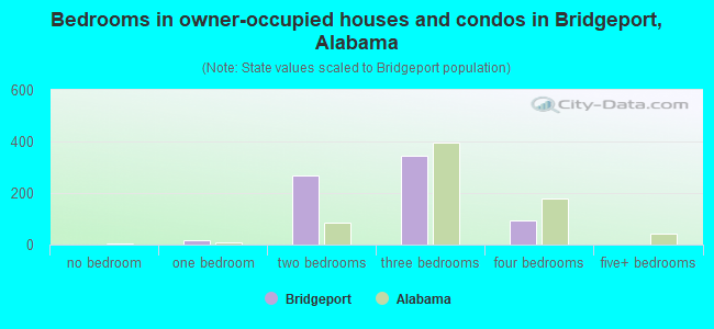 Bedrooms in owner-occupied houses and condos in Bridgeport, Alabama