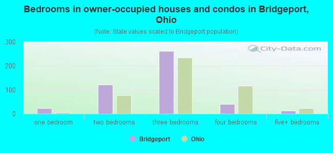 Bedrooms in owner-occupied houses and condos in Bridgeport, Ohio
