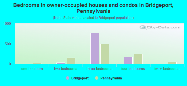 Bedrooms in owner-occupied houses and condos in Bridgeport, Pennsylvania