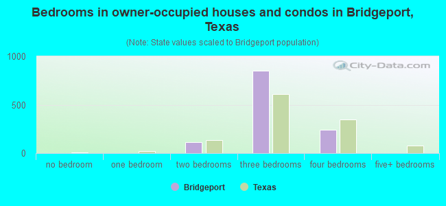 Bedrooms in owner-occupied houses and condos in Bridgeport, Texas