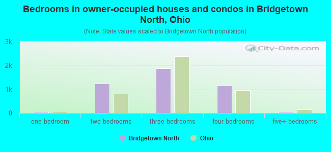 Bedrooms in owner-occupied houses and condos in Bridgetown North, Ohio