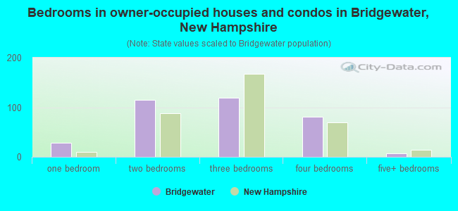 Bedrooms in owner-occupied houses and condos in Bridgewater, New Hampshire