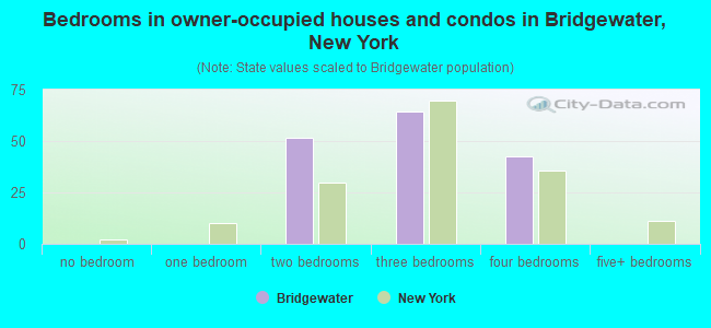 Bedrooms in owner-occupied houses and condos in Bridgewater, New York