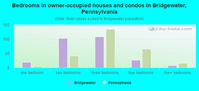 Bedrooms in owner-occupied houses and condos in Bridgewater, Pennsylvania
