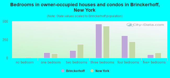 Bedrooms in owner-occupied houses and condos in Brinckerhoff, New York