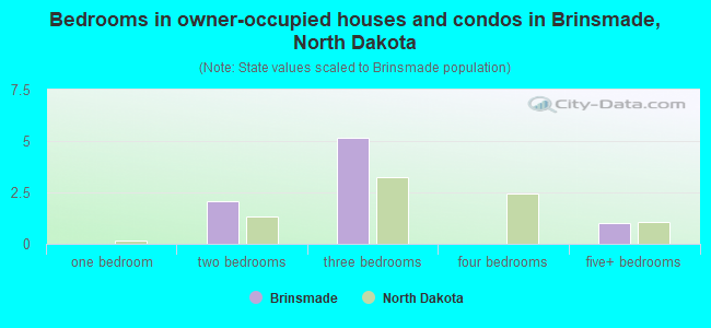 Bedrooms in owner-occupied houses and condos in Brinsmade, North Dakota