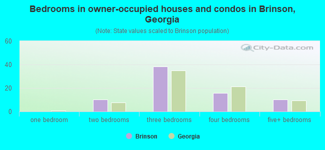 Bedrooms in owner-occupied houses and condos in Brinson, Georgia