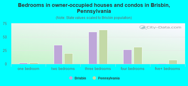 Bedrooms in owner-occupied houses and condos in Brisbin, Pennsylvania