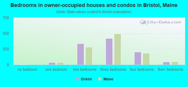 Bedrooms in owner-occupied houses and condos in Bristol, Maine