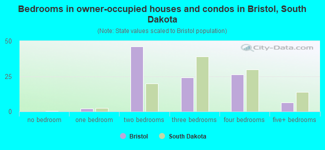 Bedrooms in owner-occupied houses and condos in Bristol, South Dakota