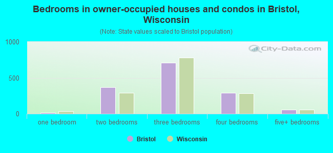 Bedrooms in owner-occupied houses and condos in Bristol, Wisconsin