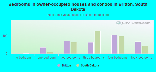 Bedrooms in owner-occupied houses and condos in Britton, South Dakota