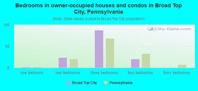 Bedrooms in owner-occupied houses and condos in Broad Top City, Pennsylvania