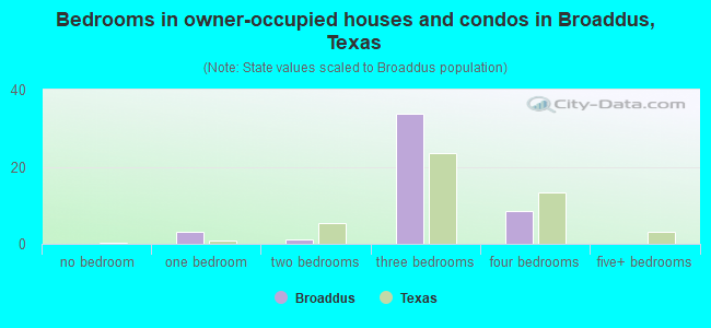 Bedrooms in owner-occupied houses and condos in Broaddus, Texas