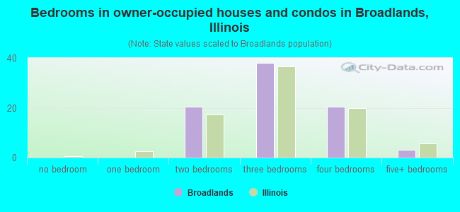Bedrooms in owner-occupied houses and condos in Broadlands, Illinois