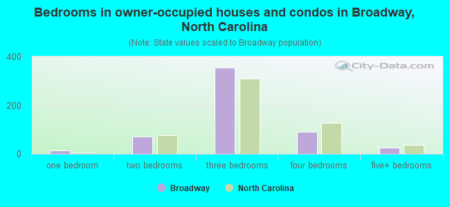 Bedrooms in owner-occupied houses and condos in Broadway, North Carolina