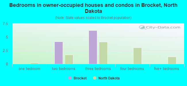 Bedrooms in owner-occupied houses and condos in Brocket, North Dakota