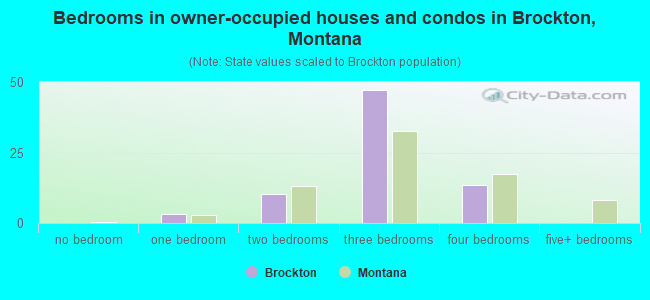 Bedrooms in owner-occupied houses and condos in Brockton, Montana