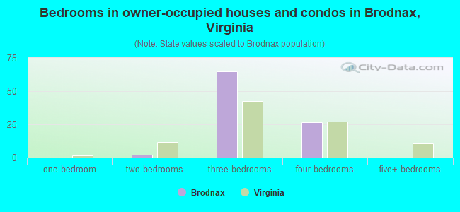 Bedrooms in owner-occupied houses and condos in Brodnax, Virginia