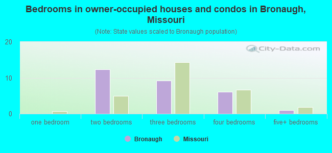 Bedrooms in owner-occupied houses and condos in Bronaugh, Missouri