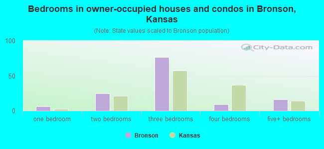 Bedrooms in owner-occupied houses and condos in Bronson, Kansas
