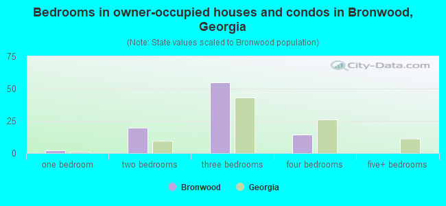 Bedrooms in owner-occupied houses and condos in Bronwood, Georgia