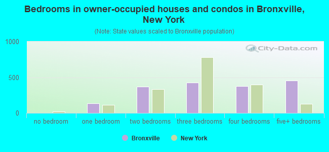 Bedrooms in owner-occupied houses and condos in Bronxville, New York