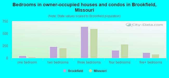 Bedrooms in owner-occupied houses and condos in Brookfield, Missouri