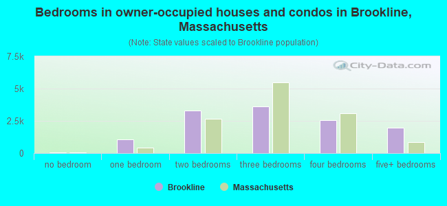 Bedrooms in owner-occupied houses and condos in Brookline, Massachusetts