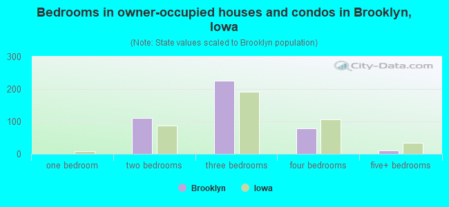 Bedrooms in owner-occupied houses and condos in Brooklyn, Iowa