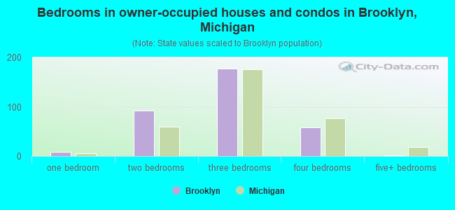 Bedrooms in owner-occupied houses and condos in Brooklyn, Michigan