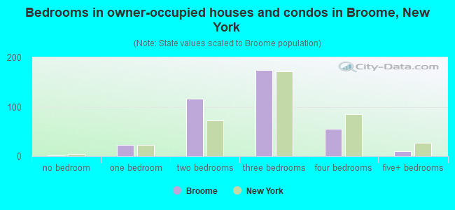 Bedrooms in owner-occupied houses and condos in Broome, New York