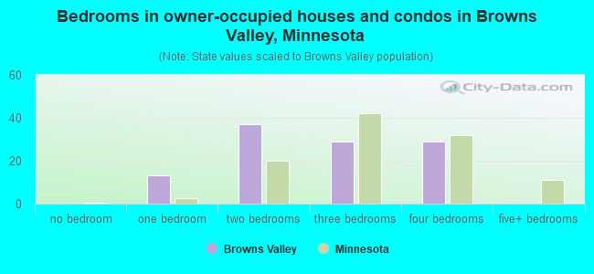Bedrooms in owner-occupied houses and condos in Browns Valley, Minnesota