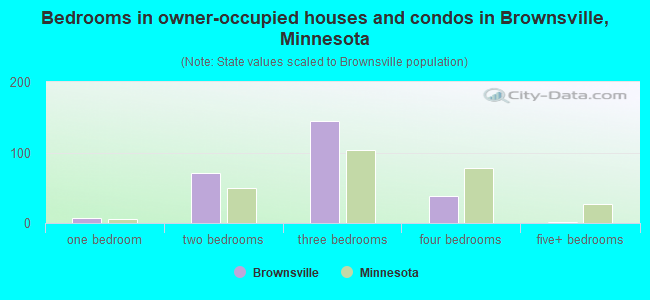Bedrooms in owner-occupied houses and condos in Brownsville, Minnesota