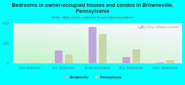 Bedrooms in owner-occupied houses and condos in Brownsville, Pennsylvania