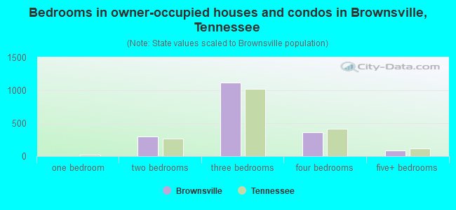 Bedrooms in owner-occupied houses and condos in Brownsville, Tennessee