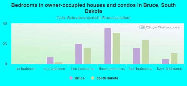 Bedrooms in owner-occupied houses and condos in Bruce, South Dakota