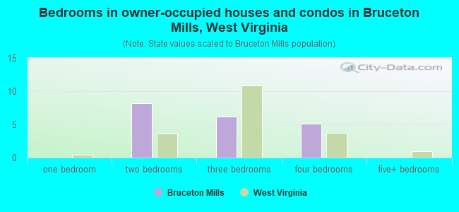 Bedrooms in owner-occupied houses and condos in Bruceton Mills, West Virginia