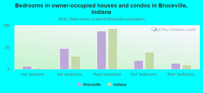 Bedrooms in owner-occupied houses and condos in Bruceville, Indiana