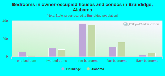 Bedrooms in owner-occupied houses and condos in Brundidge, Alabama