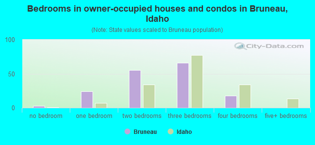 Bedrooms in owner-occupied houses and condos in Bruneau, Idaho