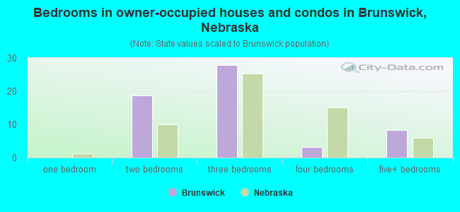 Bedrooms in owner-occupied houses and condos in Brunswick, Nebraska