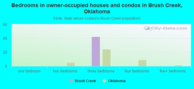 Bedrooms in owner-occupied houses and condos in Brush Creek, Oklahoma