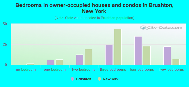 Bedrooms in owner-occupied houses and condos in Brushton, New York