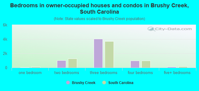 Bedrooms in owner-occupied houses and condos in Brushy Creek, South Carolina